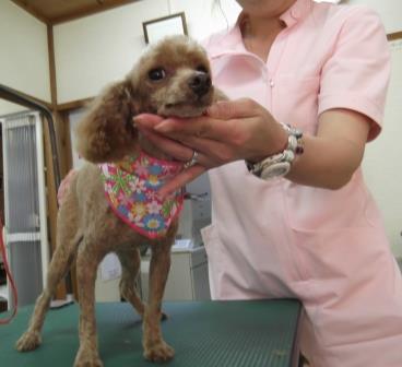 中野さん6 中野さん6
