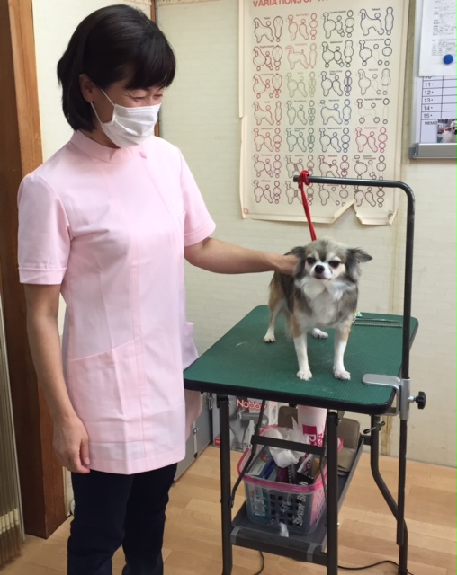 小川さん 小川さん