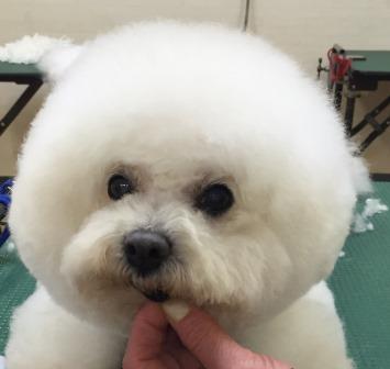 ララちゃん ララちゃん