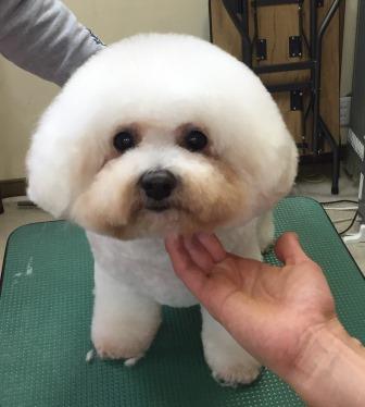 ネネちゃん ネネちゃん