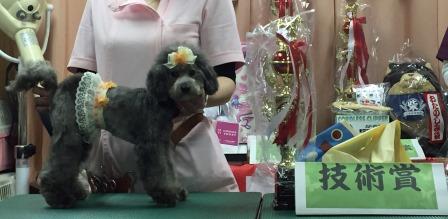 技術賞 技術賞