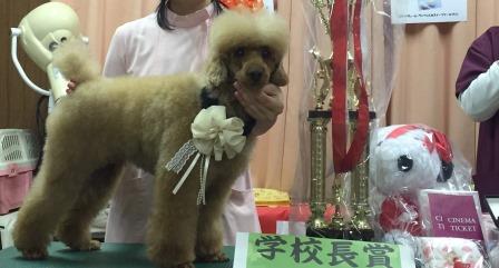 学校長賞 学校長賞
