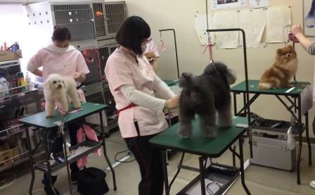 2019競技会2 2019競技会2